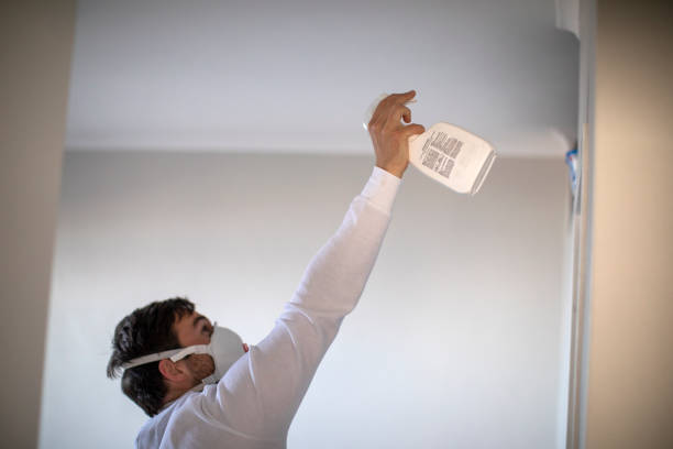 Best Preventive Mold Services in Amherst, WI