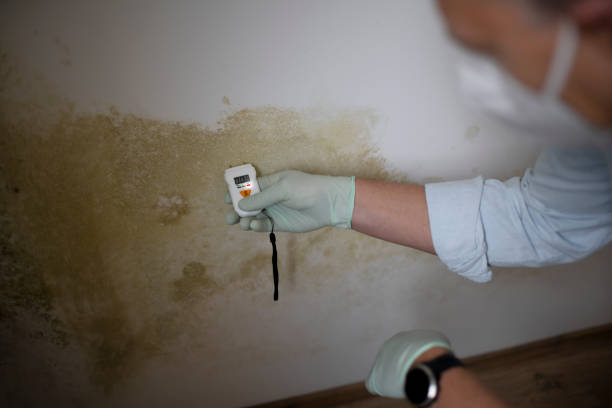 Amherst, WI Mold Remediation Company