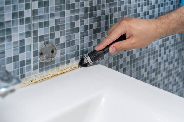 Best Emergency Mold Remediation in Amherst, WI