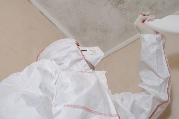 Best Industrial Mold Remediation in Amherst, WI
